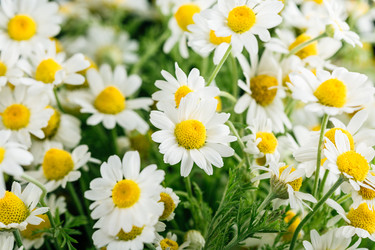 Similar image 22500577