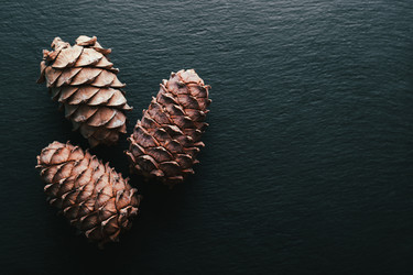 Similar image 22500652