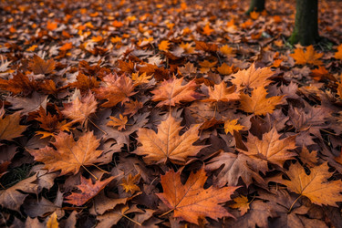 Similar image 22591088