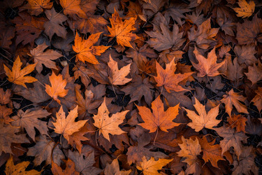 Similar image 22591117