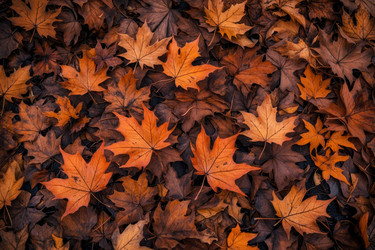 Similar image 22591146