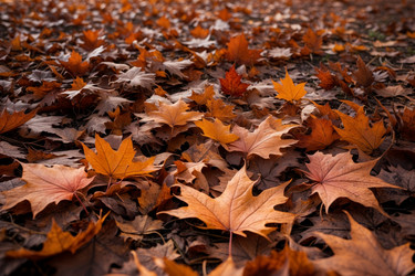 Similar image 22591176