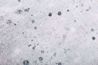 Similar image 22500843