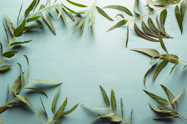 Similar image 22499113