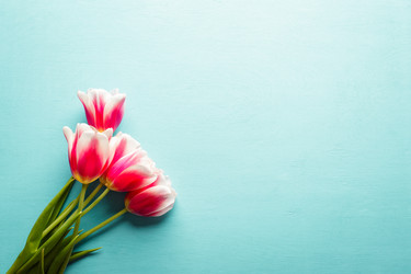 Similar image 22499128