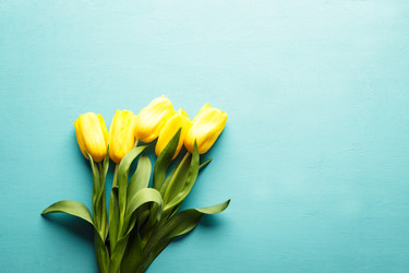 Similar image 22499129