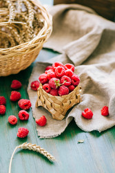 Similar image 22499144