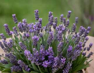 Similar image 22579676