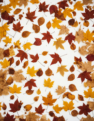 Similar image 22579931