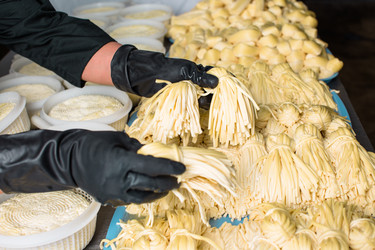 Similar image 22499264