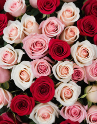 Similar image 22585019