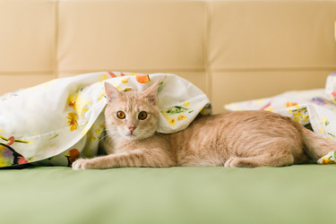 Similar image 22499300