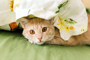 Similar image 22499327