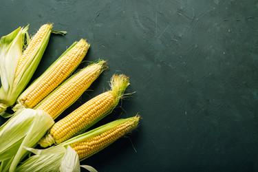 Similar image 22499496