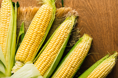 Similar image 22499526