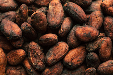 Similar image 22499288