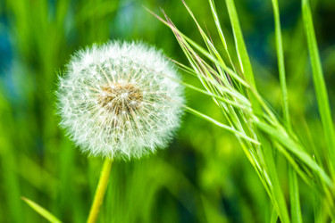 Similar image 22500832