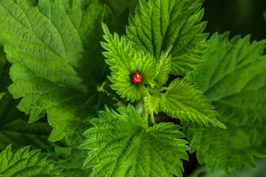 Similar image 22500834