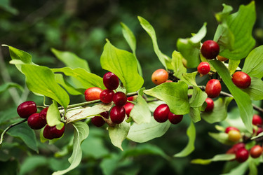 Similar image 22500848