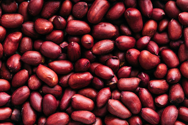 Similar image 22499109