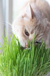 Similar image 22500579