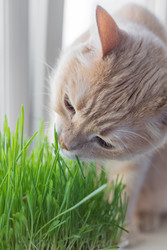 Similar image 22500581