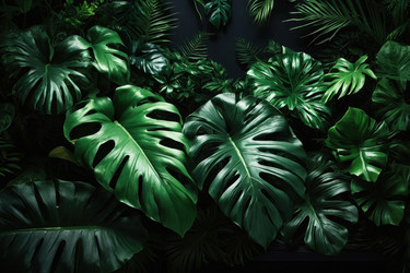 Similar image 22588119