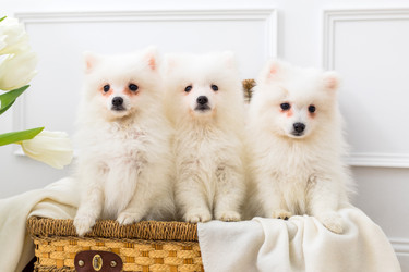 Similar image 22560089