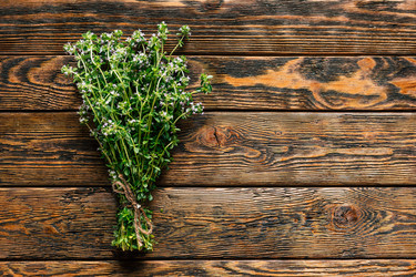 Similar image 22499141