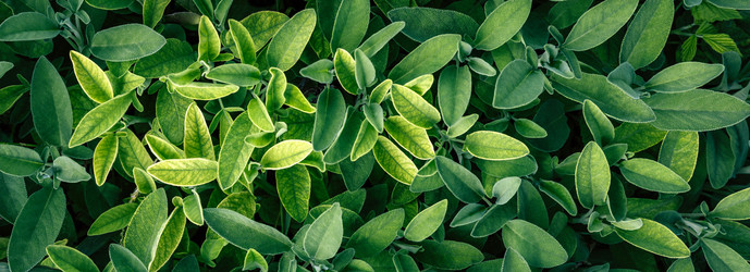 Similar image 22499157