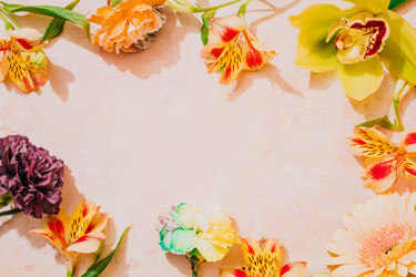 Similar image 22499172