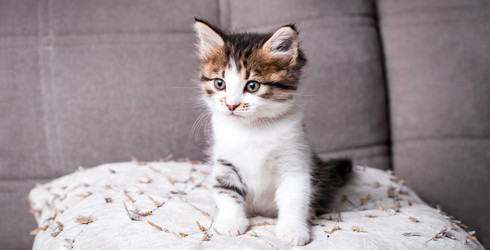 Similar image 22499335