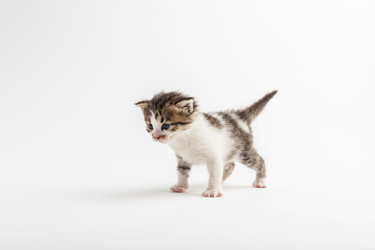 Similar image 22499546