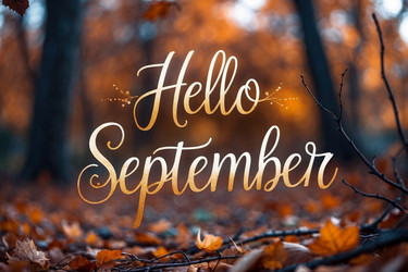 Similar image 22562544