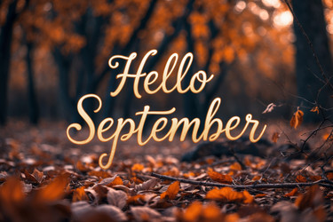 Similar image 22562573