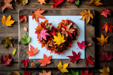 Similar image 22562586