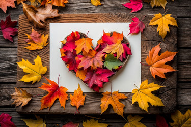 Similar image 22562604