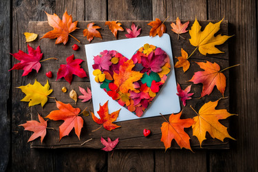 Similar image 22580044