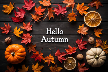 Similar image 22584185