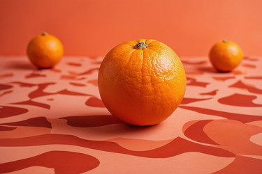 Similar image 22497165