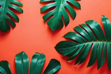 Similar image 22586898