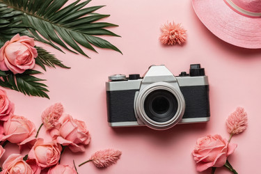 Similar image 22497119