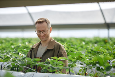 Similar image 22527883