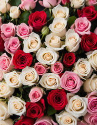 Similar image 22579587