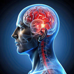 Similar image 22491242