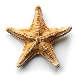 Similar image 22487402