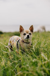 Similar image 22593205