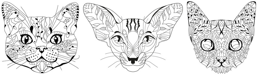 Similar image 22490320