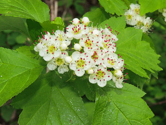 Similar image 22560114