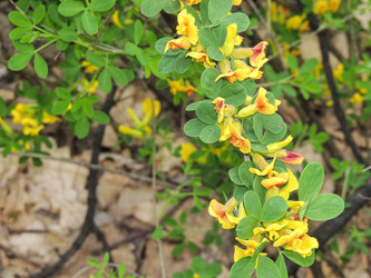 Similar image 22560115